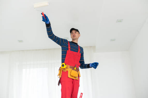 Best Water-Damaged Drywall Repair  in Lakehills, TX